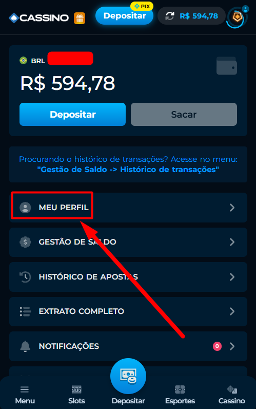 Passo 3 exclusao de conta